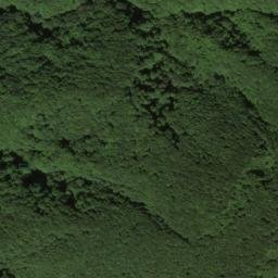 Satellite imagery of survey_point, JP