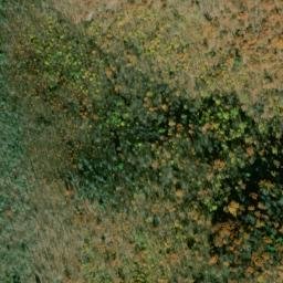 Satellite imagery of Pond Ridge, US