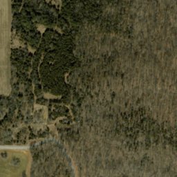 Satellite imagery of Devils Backbone, US