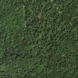 Satellite imagery of Dogwood Ridge, US