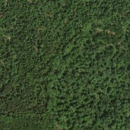 Satellite imagery of Dogwood Ridge, US