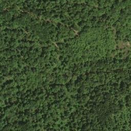 Satellite imagery of Dogwood Ridge, US