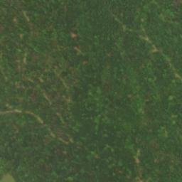 Satellite imagery of Hurricane Ridge, US