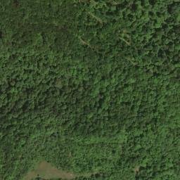 Satellite imagery of Dogwood Ridge, US
