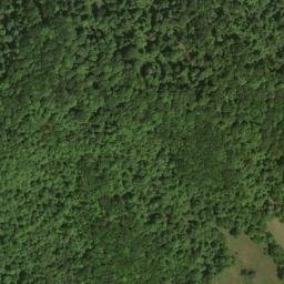 Satellite imagery of Dogwood Ridge, US