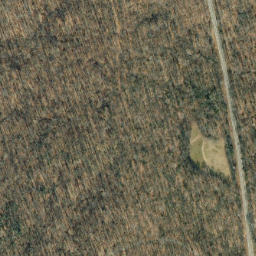 Satellite imagery of Dickersons Point, US