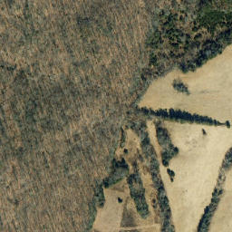 Satellite imagery of Dickersons Point, US