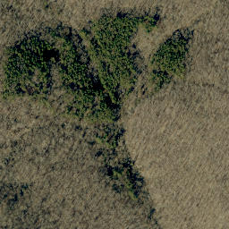 Satellite imagery of German Ridge, US