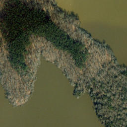 Satellite imagery of Simms Point, US
