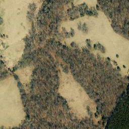 Satellite imagery of Buzzard Woods Point, US