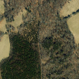 Satellite imagery of Freemans Point, US