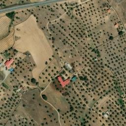Satellite imagery of survey_point, PT