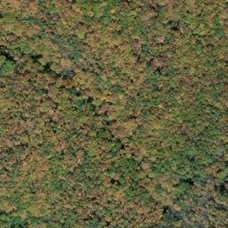 Satellite imagery of Lick Ridge, US