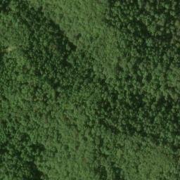 Satellite imagery of Pea Ridge, US