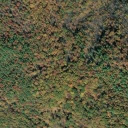 Satellite imagery of Lick Ridge, US