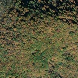 Satellite imagery of Lick Ridge, US