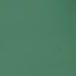 Satellite imagery of Pelican Point, US