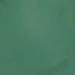 Satellite imagery of Pelican Point, US