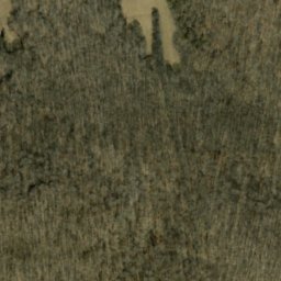 Satellite imagery of Wolfpen Ridge, US