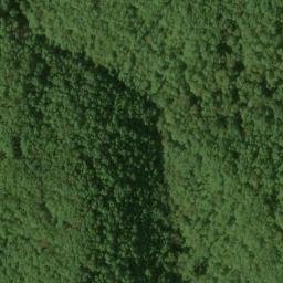 Satellite imagery of Pea Ridge, US