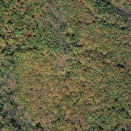 Satellite imagery of Lick Ridge, US