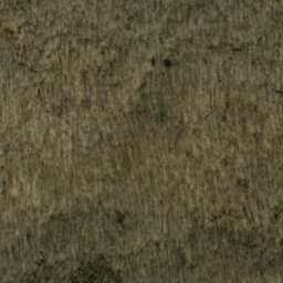 Satellite imagery of Wolfpen Ridge, US