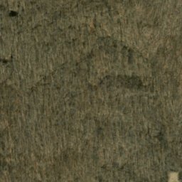 Satellite imagery of Wolfpen Ridge, US