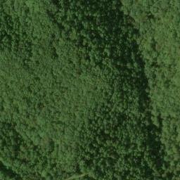 Satellite imagery of Pea Ridge, US