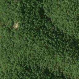 Satellite imagery of Pea Ridge, US