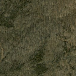 Satellite imagery of Wolfpen Ridge, US