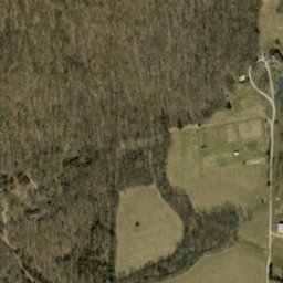 Satellite imagery of Wolfpen Ridge, US