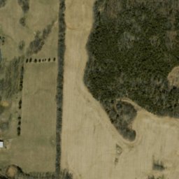 Satellite imagery of Wolfpen Ridge, US
