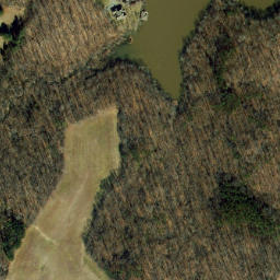 Satellite imagery of Martins Point, US