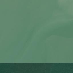 Satellite imagery of Point Buckler, US