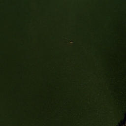 Satellite imagery of Harlow Point, US