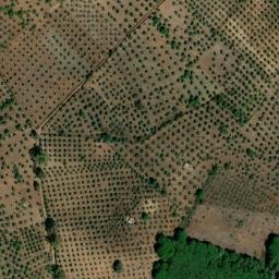 Satellite imagery of survey_point, PT