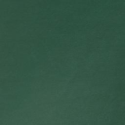 Satellite imagery of Garnet Point, US