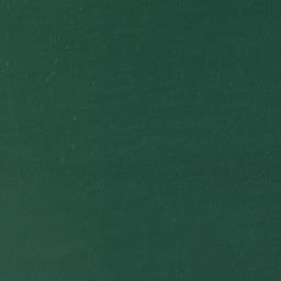 Satellite imagery of Point Buckler, US
