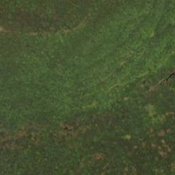Satellite imagery of Blue Ridge, US