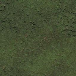 Satellite imagery of Burnside Ridge, US