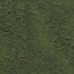 Satellite imagery of Burnside Ridge, US