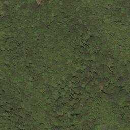 Satellite imagery of Burnside Ridge, US