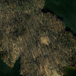 Satellite imagery of Boxley Point, US