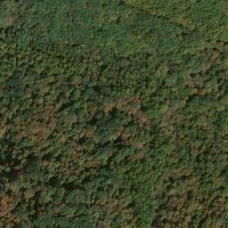 Satellite imagery of Shawver Ridge, US