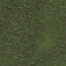 Satellite imagery of Burnside Ridge, US