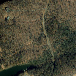 Satellite imagery of Colling Point, US