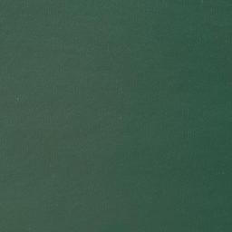 Satellite imagery of Garnet Point, US