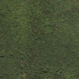 Satellite imagery of Pond Ridge, US