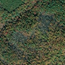 Satellite imagery of Mikes Ridge, US