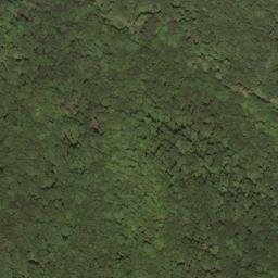 Satellite imagery of Pond Ridge, US